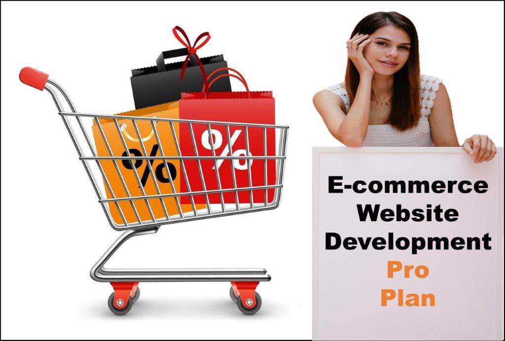 professional ecommerce website development agency in Little Rock Arkansas