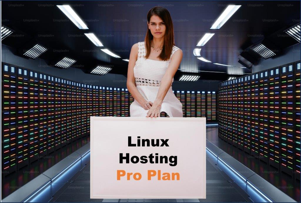 linux hosting windows hosting provider in Little Rock Arkansas