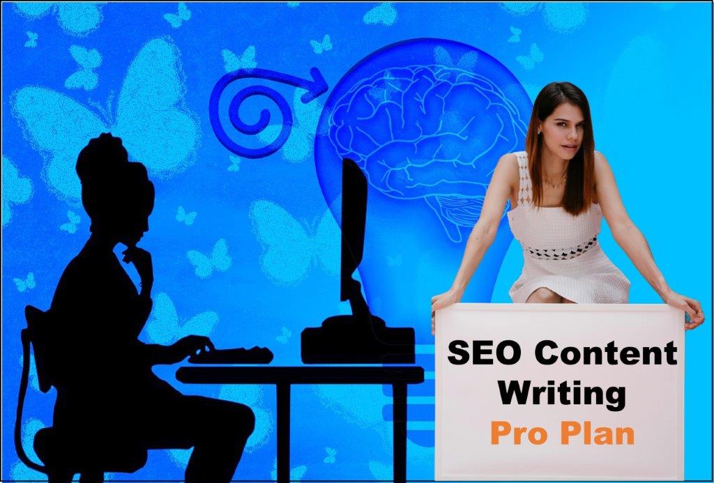 seo content writing agency Little Rock Arkansas